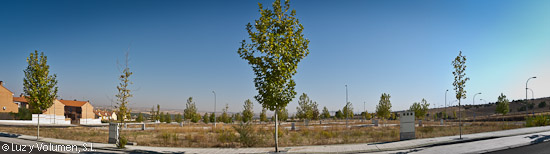 Parcelas residenciales en Bargas. Árboles en acerados.